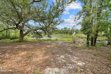 1371 Deadening Rd, Chipley, FL 32428 - photo 7