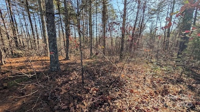 1111 Table View Dr, Morganton, NC 28655 - photo 3