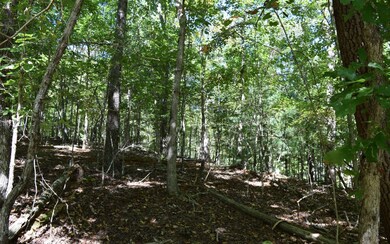 Additional View