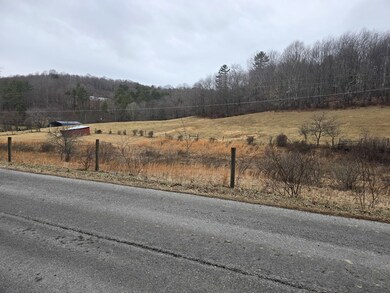 TBD Taylors Chapel Rd, Fries, VA 24330 - photo 7