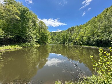 Pond