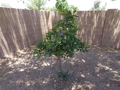 Fruit Tree