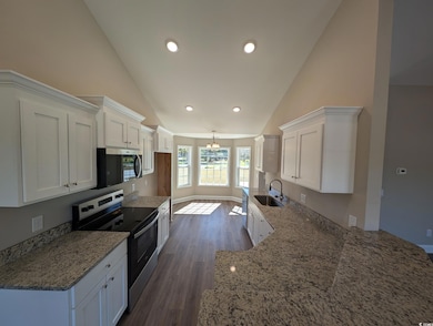 TBB Black Creek Rd, Nichols, SC 29581 - photo 2