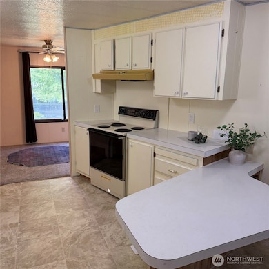 920 Maple Ln unit 11, Sedro Woolley, WA 98284 - photo 4