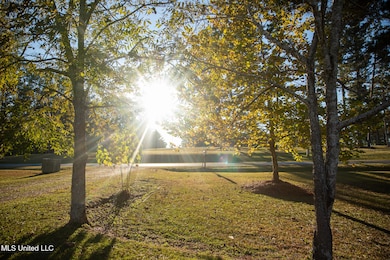 4457 Newton Conehatta Rd, Newton, MS 39345 - photo 3