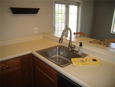 Lots of counter space and new brushed nickel goose