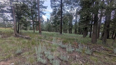 924 Will Scarlet Dr, Divide, CO 80814 - photo 5