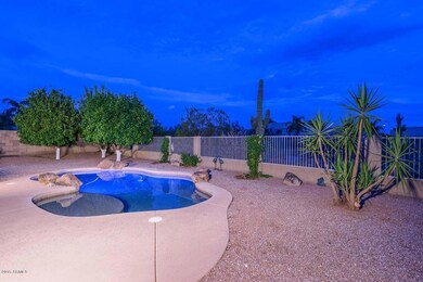 Night-Backyard-Pool