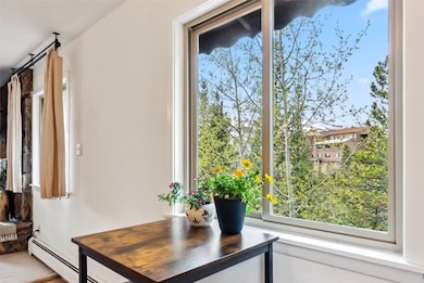 Kitchen mountain views