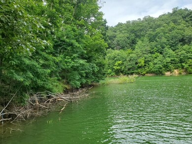 Great dockable shoreline