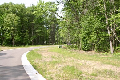 16106 Coventry Ln unit 10, Spring Lake, MI 49456 - photo 5