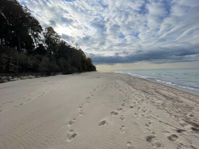 0 Lakeshore Rd, Union Pier, MI 49129 - photo 5