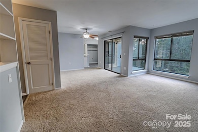 4814 Spring Lake Dr unit E, Charlotte, NC 28212 - photo 5