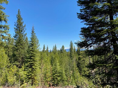 Lot 15 Saddle Rock Way unit 15, Cascade, ID 83611 - photo 6