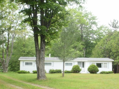 Surrounded By Maple Trees
