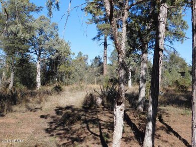 1511 N Wright Cir unit 1 & 4, Payson, AZ 85541 - photo 6