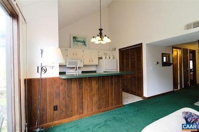 133 Eagles Ct Condos, Wintergreen Resort, VA 22967 - photo 6