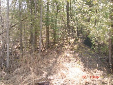 DSC00895