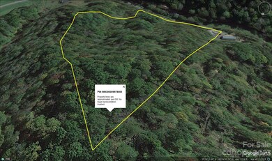 0000 Bald Mountain Rd, Burnsville, NC 28714 - photo 4