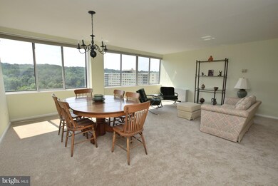 River Towers unit 903, Alexandria, VA 22307 - photo 4