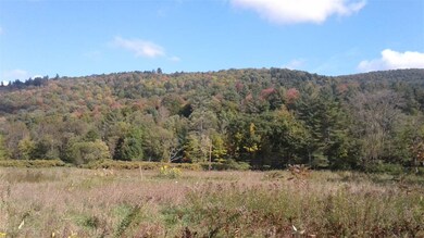 2402 Route 12, West Berlin, VT 05663 - photo 2
