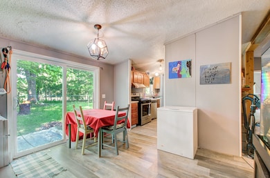 12650 State Rd, Leslie, MI 49251 - photo 6