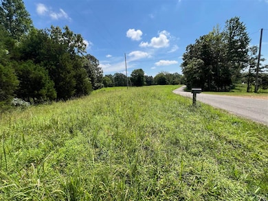 3688 E New Roe Rd, Adolphus, KY 42120 - photo 5