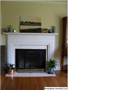 Wood burning fireplace