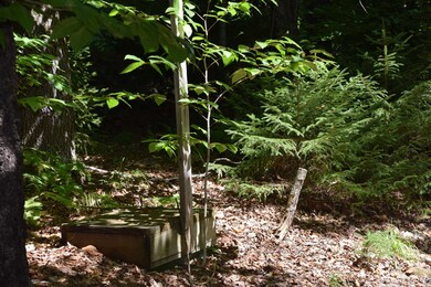 203 Minor Rd, Wilmington, VT 05363 - photo 3