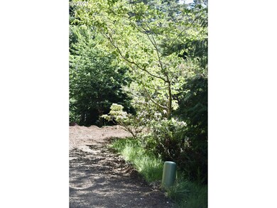 94324 Coldiron Hill Rd, Gold Beach, OR 97444 - photo 3