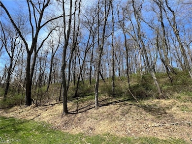 TBD Derby Dr, New Cumberlnd, WV 26047 - photo 2