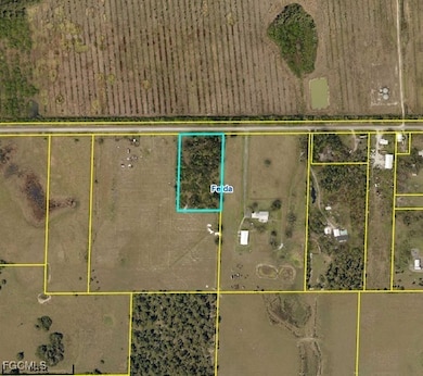 303 County Road 830, Felda, FL 33930 - photo 2