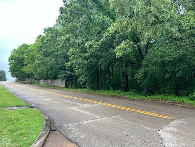 0 W Nettleton Ave, Jonesboro, AR 72401 - photo 4