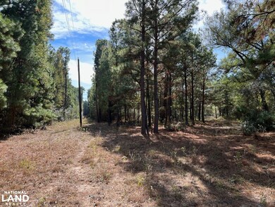 0 Cr 446 unit 22215070, Navasota, TX 77868 - photo 4