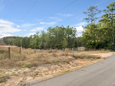 143 Luther Saucier Rd, Lumberton, MS 39455 - photo 2