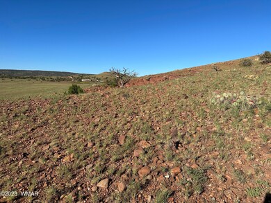 Eastern hillside looking West