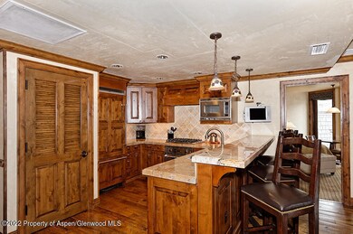 415 E Dean Unit 47 Week 12 St, Aspen, CO 81611 - photo 6