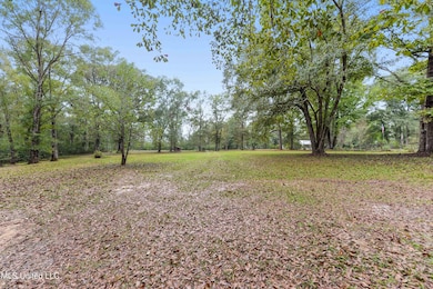 1160 Lucas Rd, Lucedale, MS 39452 - photo 4