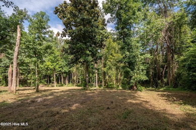 6-web-or-mls-Winding Creek Rd Lots 1 & 2