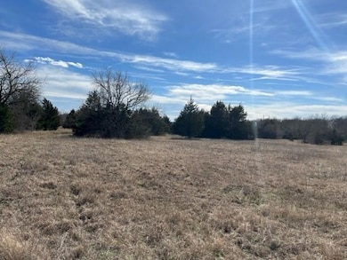 TBD N. FM1417 Farm To Market Road 1417, Denison, TX 75020 - photo 5