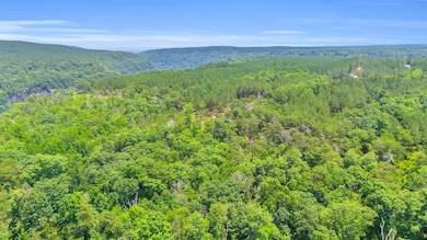 0 Worley Rd unit RTC2810083, Soddy-Daisy, TN 37379 - photo 3