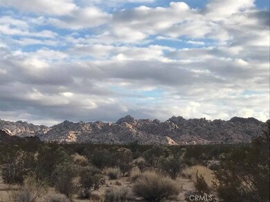 69274 Sullivan Rd, Twentynine Palms, CA 92277 - photo 4