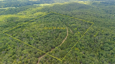 000 Merritt Rd, Chadwick, MO 65629 - photo 2