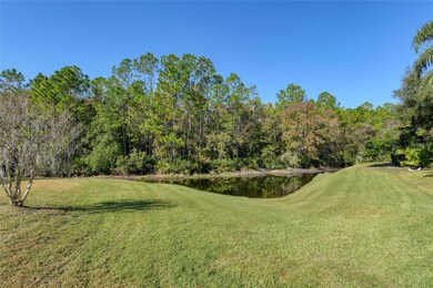 15404 Sir Maxwell Ct, Odessa, FL 33556 - photo 6