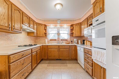 210 Campus View Dr, Lincoln, IL 62656 - photo 6