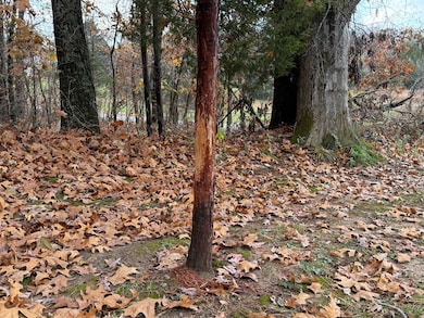 1460 Rushing Rd, Simpson, IL 62985 - photo 4