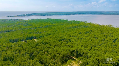 0 Baudin Ln unit 5/1-2 - 7/1-2 384482, Foley, AL 36535 - photo 2