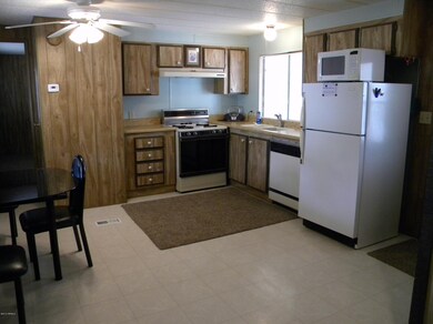 Kitchen View 2