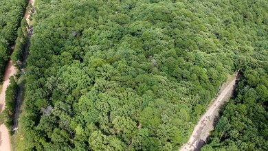 0000 Highway 59, Jay, OK 74346 - photo 5