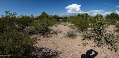 7J6A5131-Pano